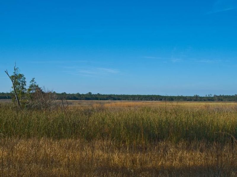 This is the view from many sites on the campground