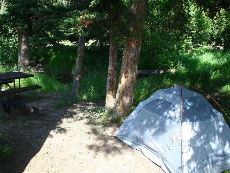 Slough Creek Campground Site #10