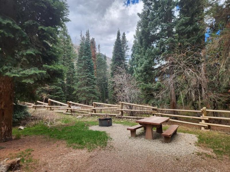 Typical camp site in Kroeger campground with picnic table and fire ring