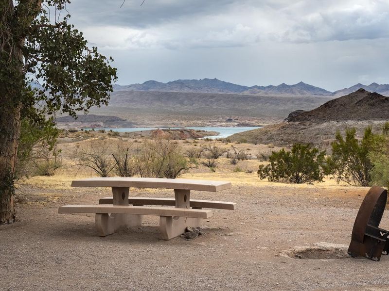 Echo Bay Campground Site 