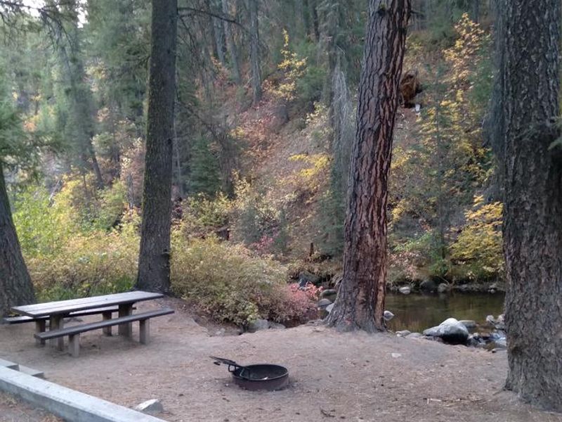 Ten Mile Site 2 has spacious parking and immediate stream access!