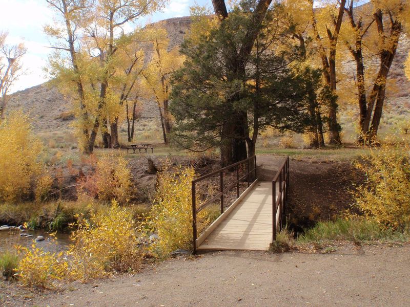 Bridge over creek to tent site 2