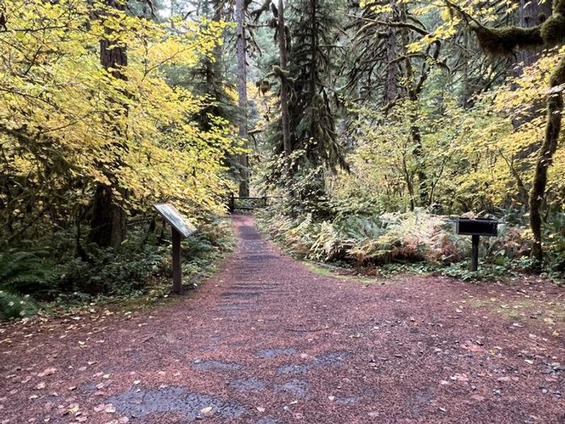 Path leading to the fishing platform.