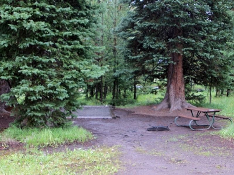 Bridge Bay Campground offers camping sites in the trees and meadows.