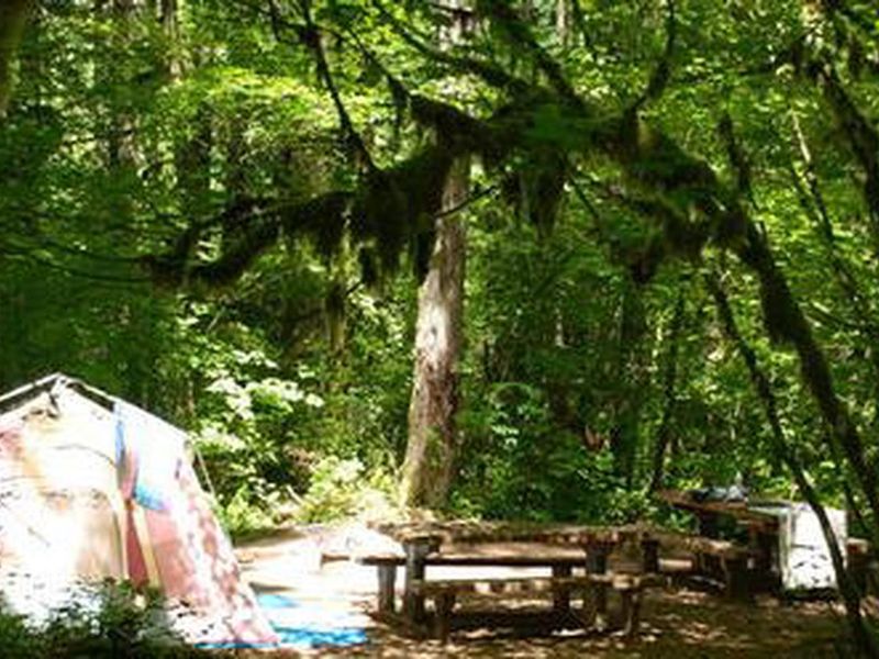 Camping at Hoover Campground