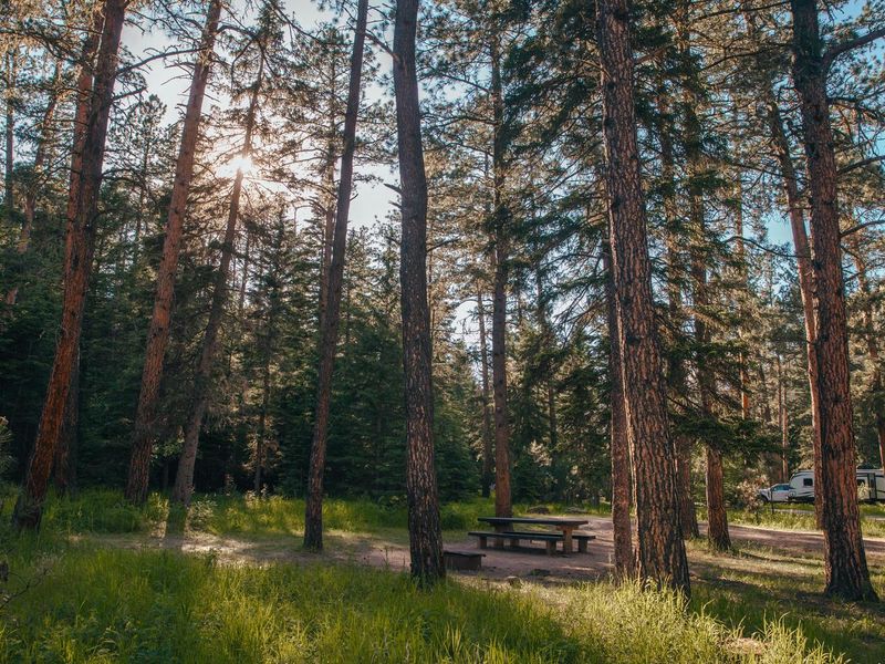 North Loop Campsites