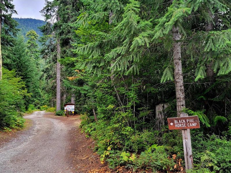 Entrance to Black Pine Horse Camp