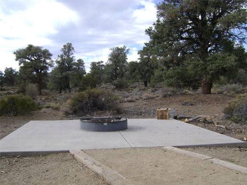 Camp Noren fire ring