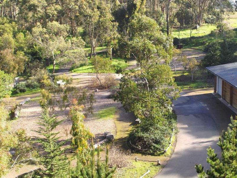 Rob Hill Campground is surrounded by a grove of Eucalyptus trees. The four campsites are arranged around a communal central space, pictured here. 