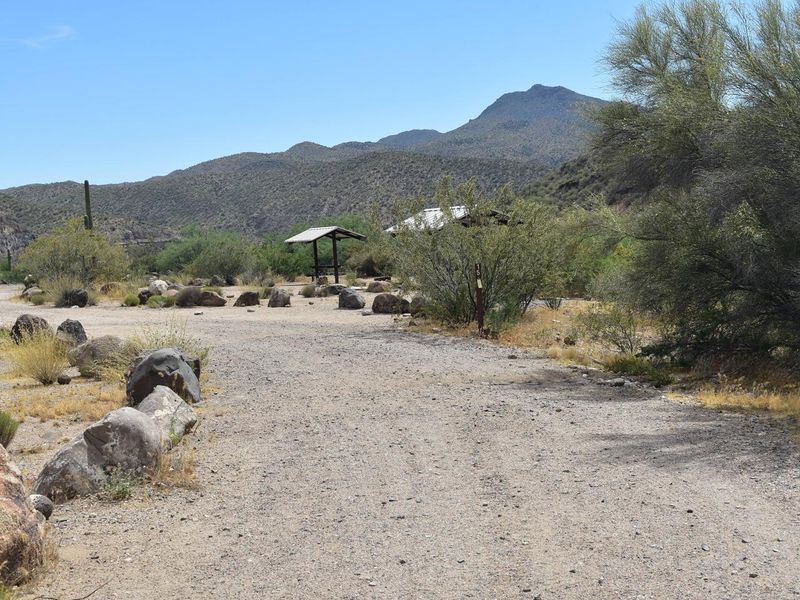 Site 15 - RV Pull Through