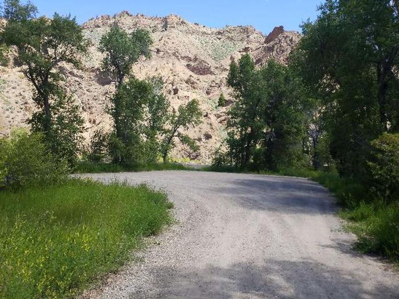 Wapiti Campground Road