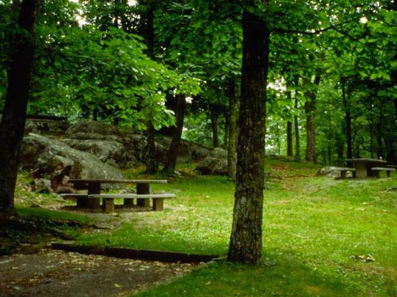 Rocky Knob Picnic Area