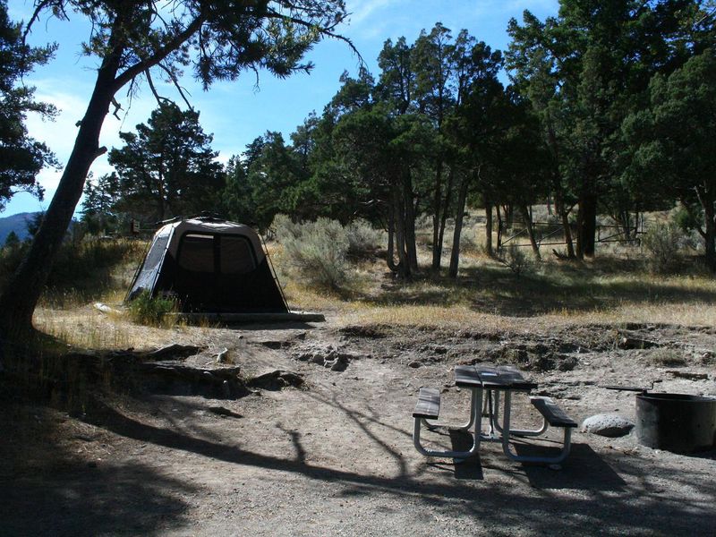 Mammoth Campsite #70