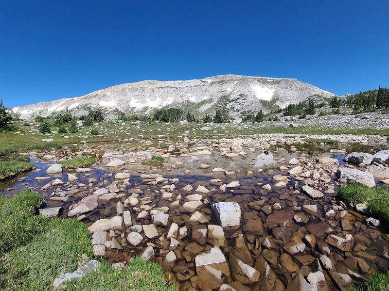 Mountain Lake and Medicine Bow