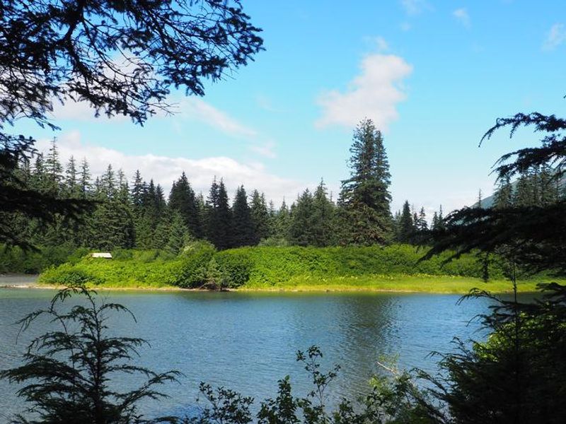 Mount Rynda Cabin scenery