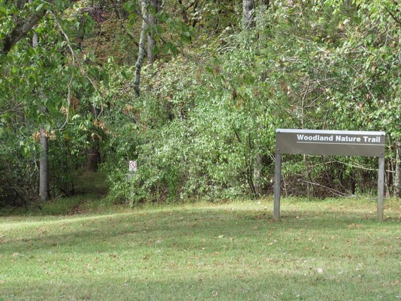 Trail head in B-Loop