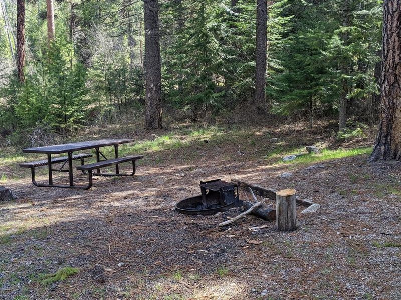 Poverty Flat Campsite