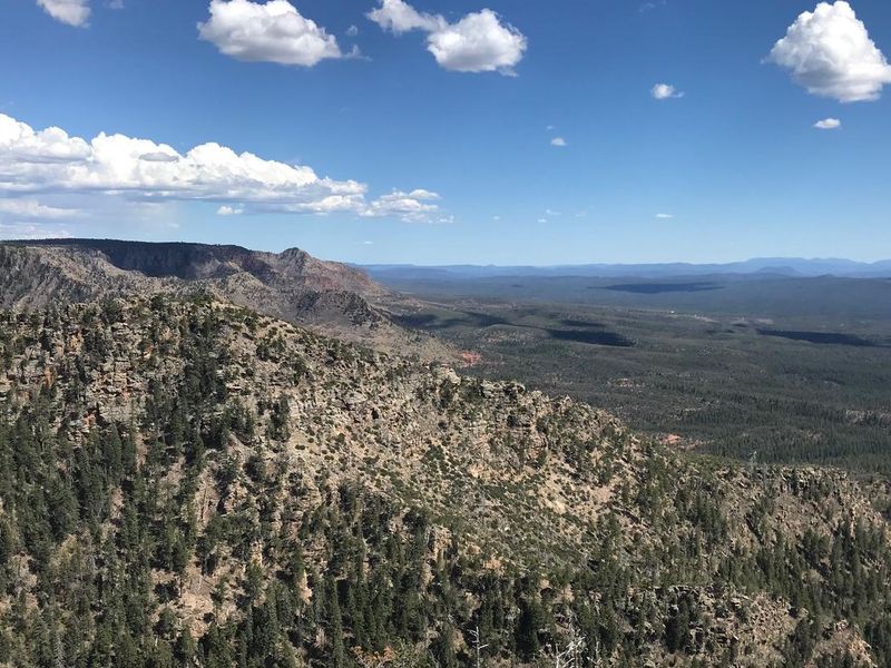 Mogollon Rim