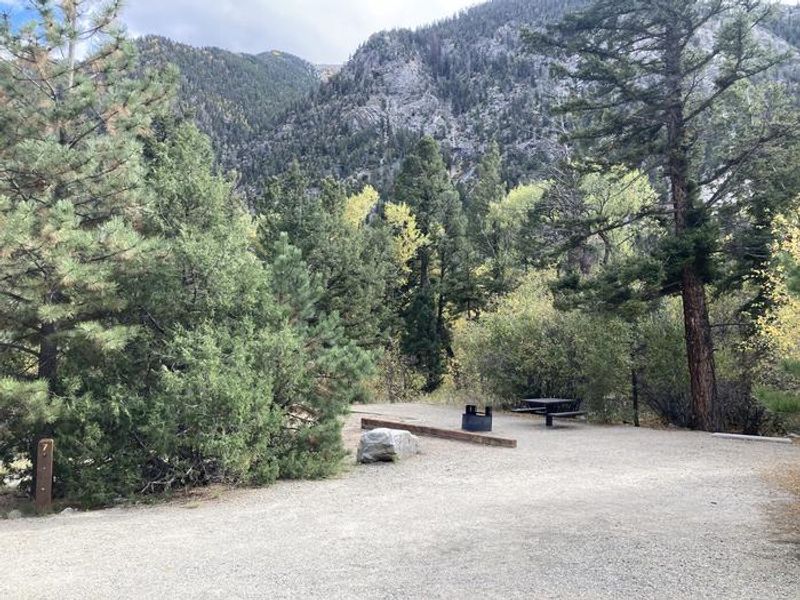 Campsite nestled in the trees.