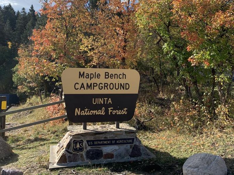 Maple Bench Campground