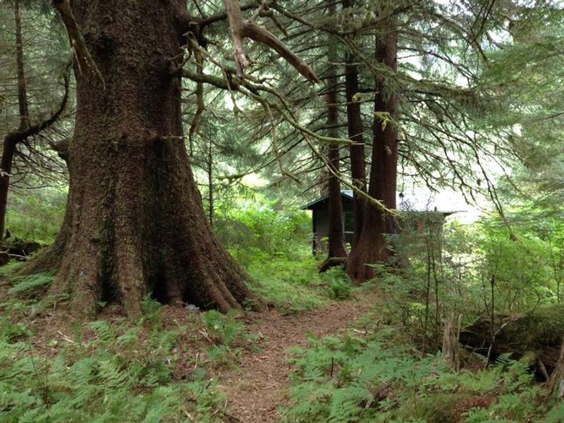 Plotnikof Lake Cabin