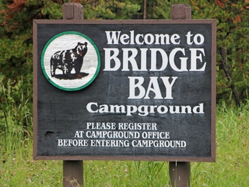Bridge Bay Campground is located close to the Bridge Bay Marina and Yellowstone Lake.
