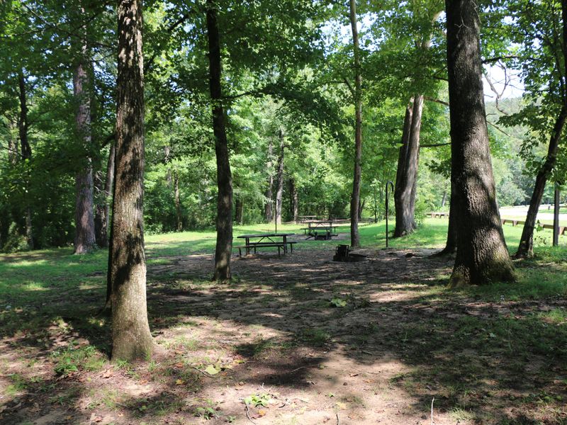 A mix of sunny and shady sites are available for campers at Ozark Campground.