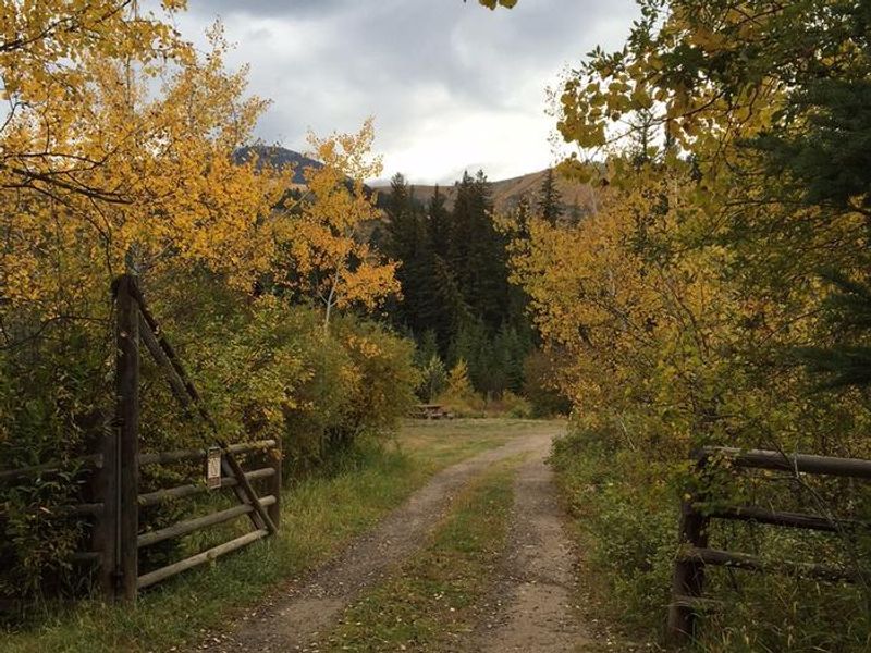 West Boulder Cabin road in the autumn