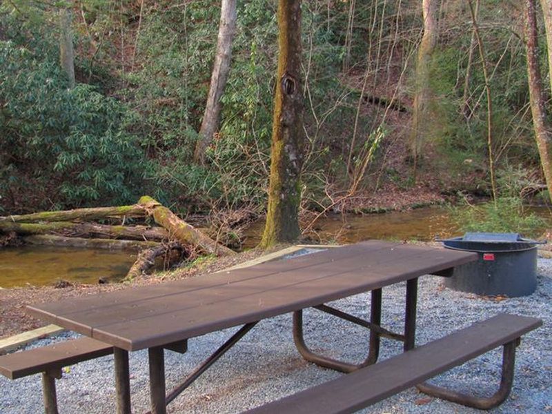 Campsite Adjacent to Rock Creek