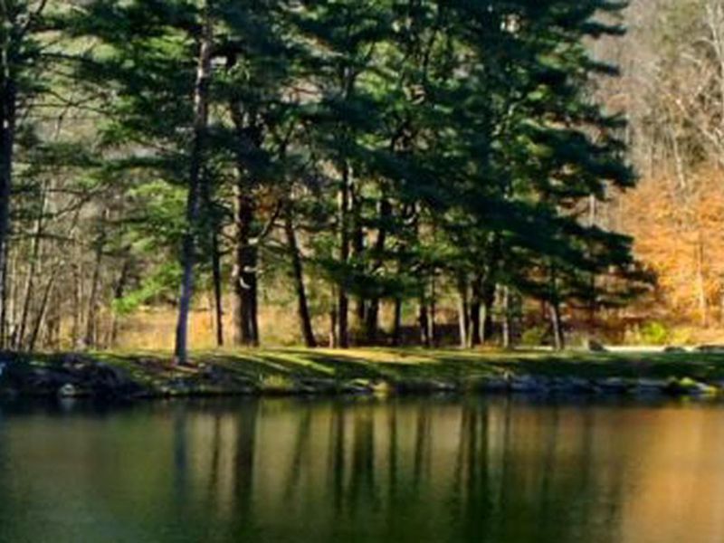 Peaceful camping location