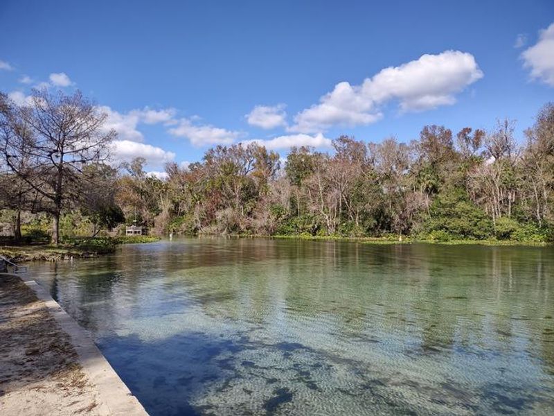 Enjoy a 72 degree dip year round in the spring!