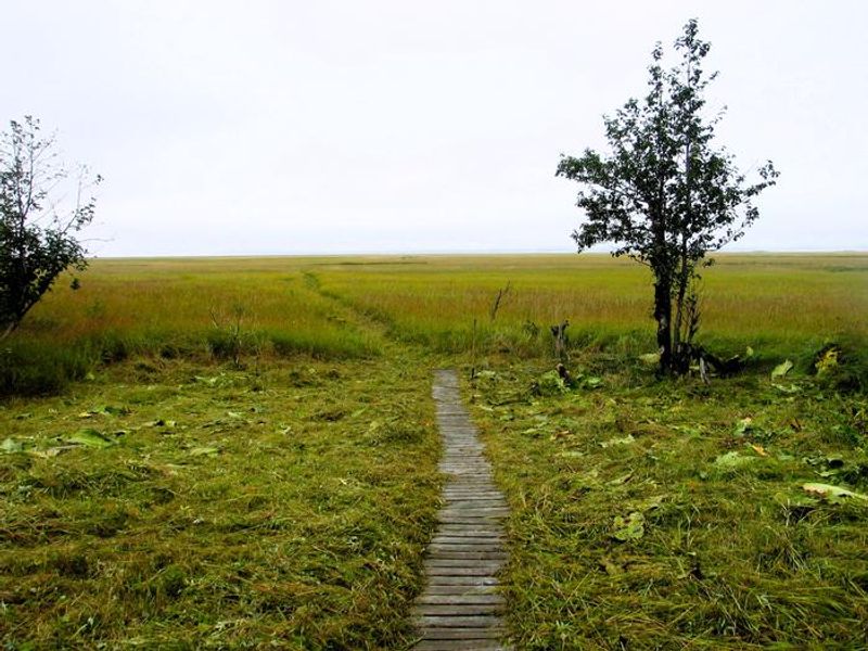 View from Koknuk Cabin