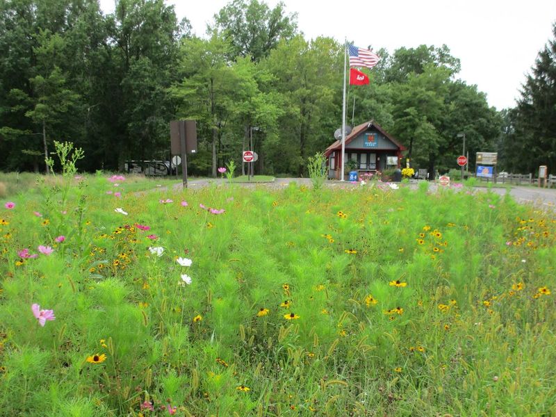 Pollinator Plot at the entrance booth for the Mill Creek Campground.