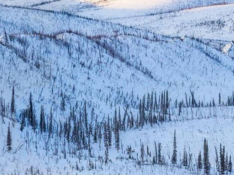 Caribou Bluff Cabin sits on a ridge above Fossil Creek in the White Mountains National Recreation Area. 