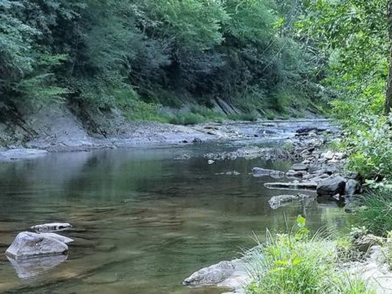 Potts Creek at Steel Bridge Campground