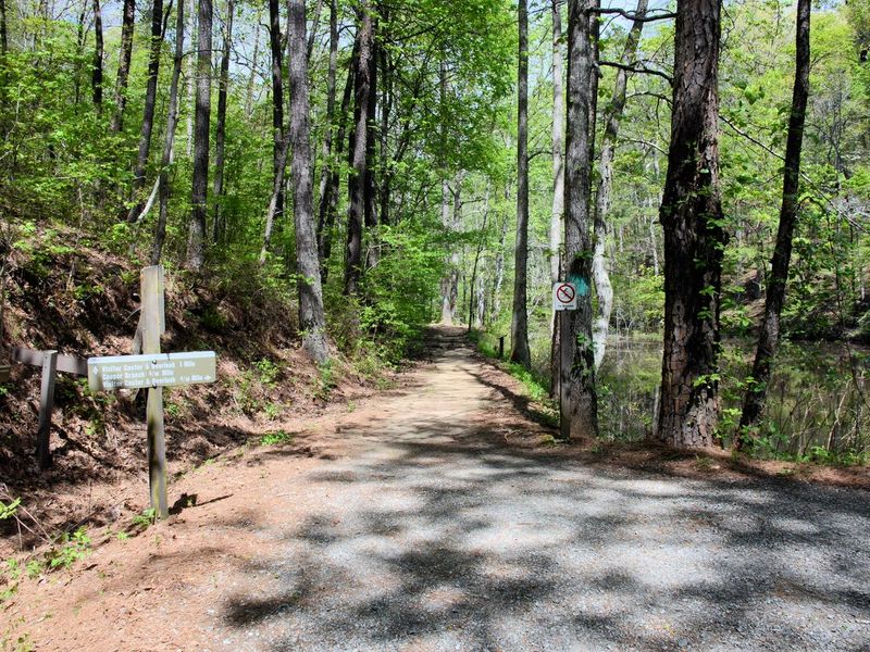 Cooper's Furnace Trails