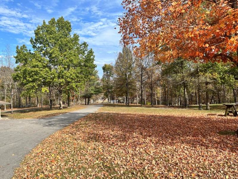North Fork Beach Area