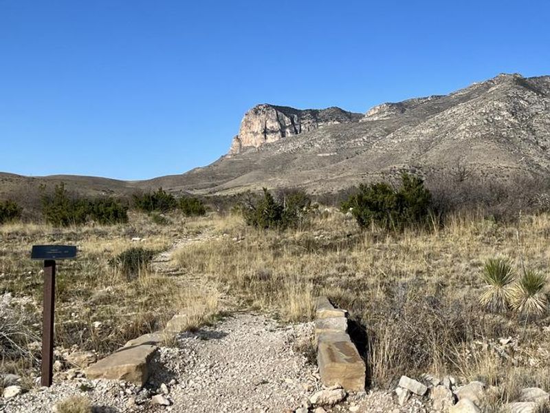 Foothills trail leading away form the Frijole Horse Corral Campground.