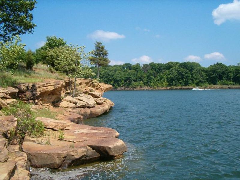 Laurel Branch Campground