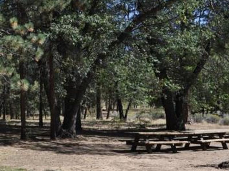 Shade & Picnic Tables of the San Gorgonio Campground