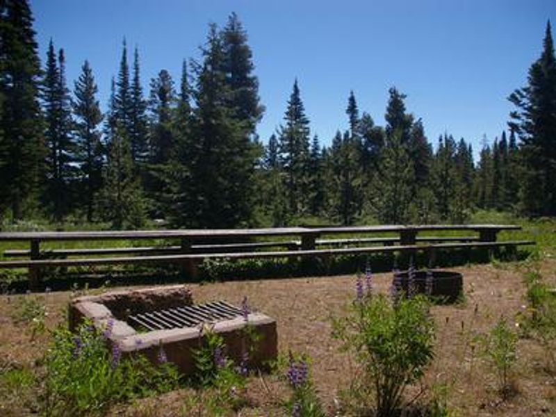 Thompson Flats features many large loops that provide multiple camping spots for large groups. Each loop also features a large recreation area that makes meals and bonfires easy. 