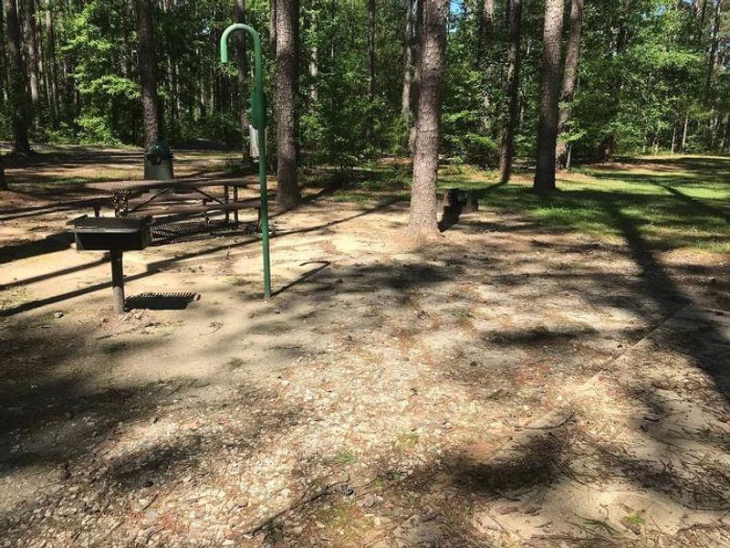 Shaded Class A Campsite #16. RV pad, water, and 20/30/50 AMP electric hook-ups as well as basic campsite amenities including a picnic table, lantern post, fire ring, trash can and grill.