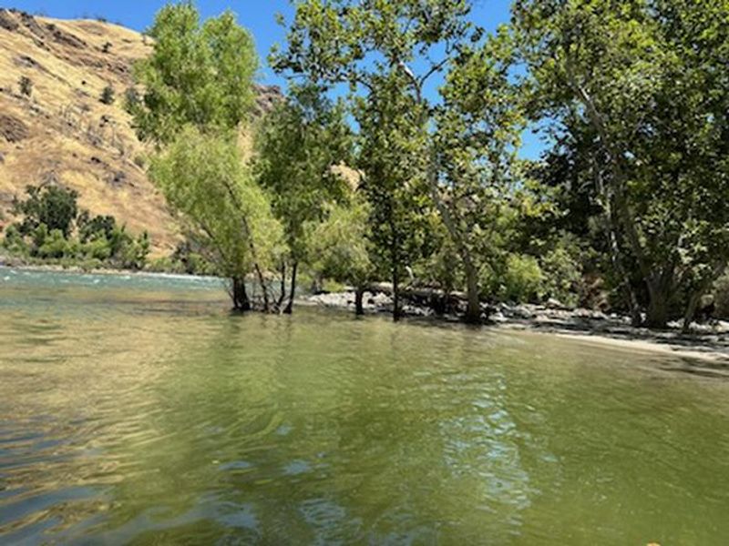 The river is always flowing near the cabin