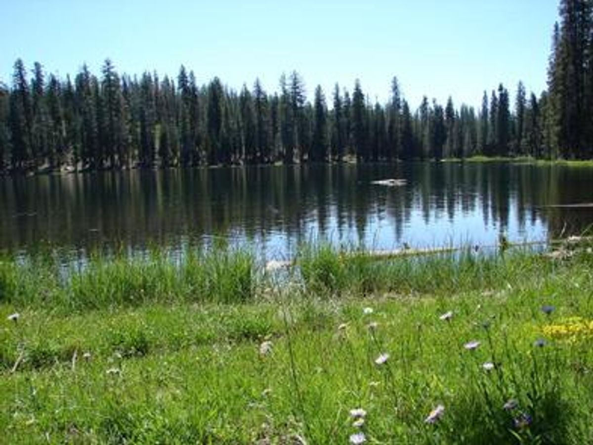 Summit Lake North photo 2