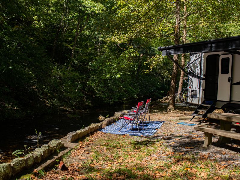 Many campsites are located along Gulpha Creek
