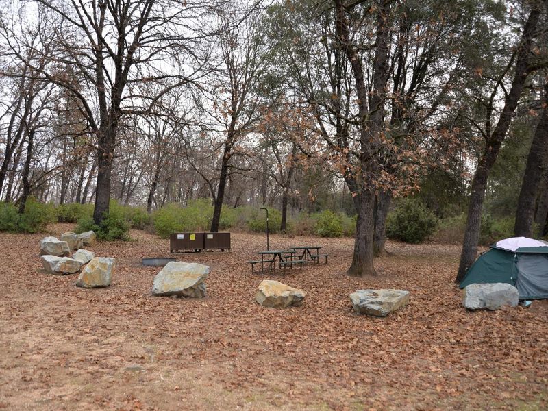 Horse Camp site with tent
