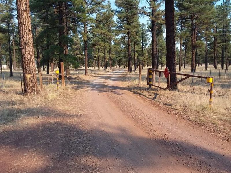 Benny Creek Campground Group Area