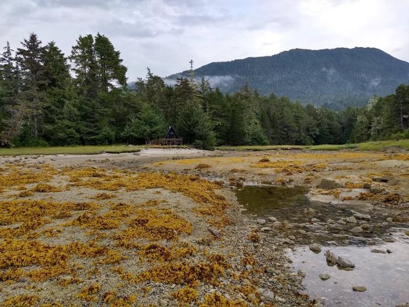 Looking toward cabin
