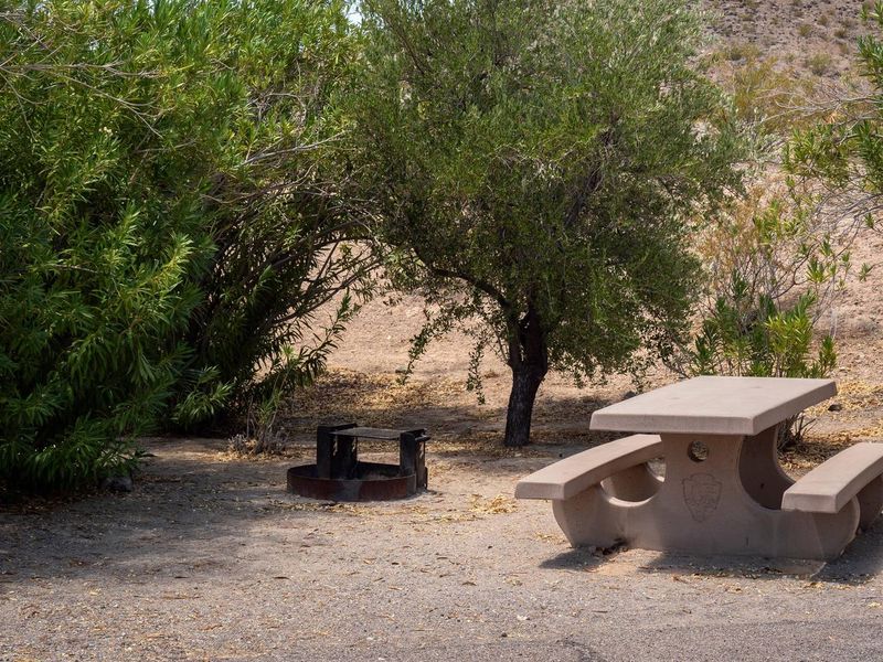 Callville Bay Campground 