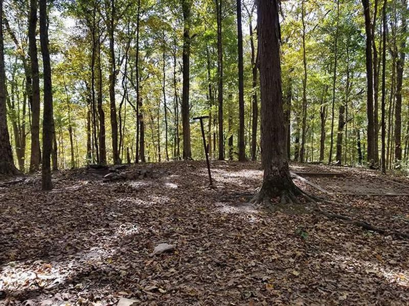 Turnhole Bend Campsite